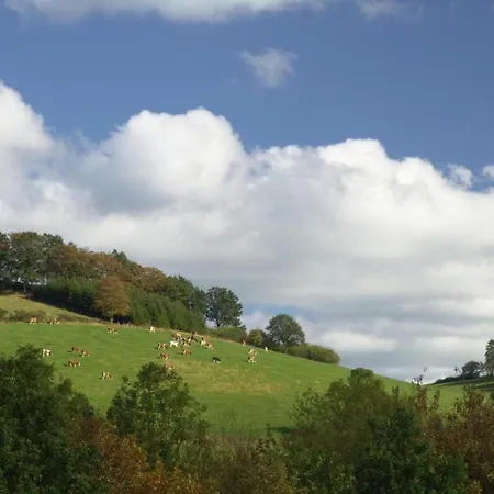 In With Garden Holiday home Ramsbeck