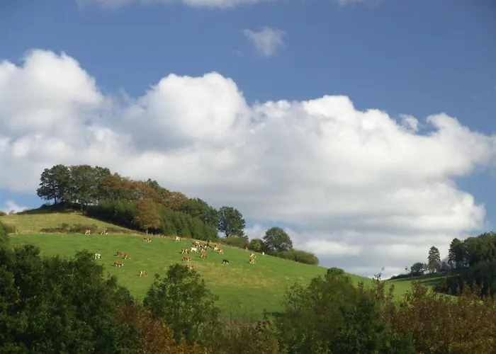 In With Garden Дом отдыха Ramsbeck