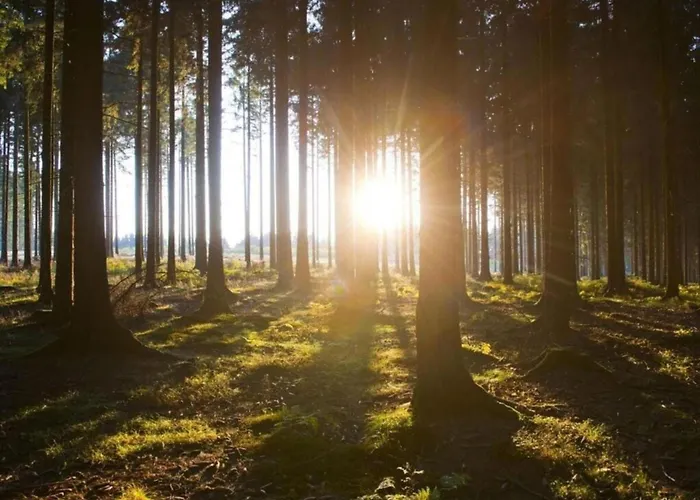 Дом отдыха In With Garden